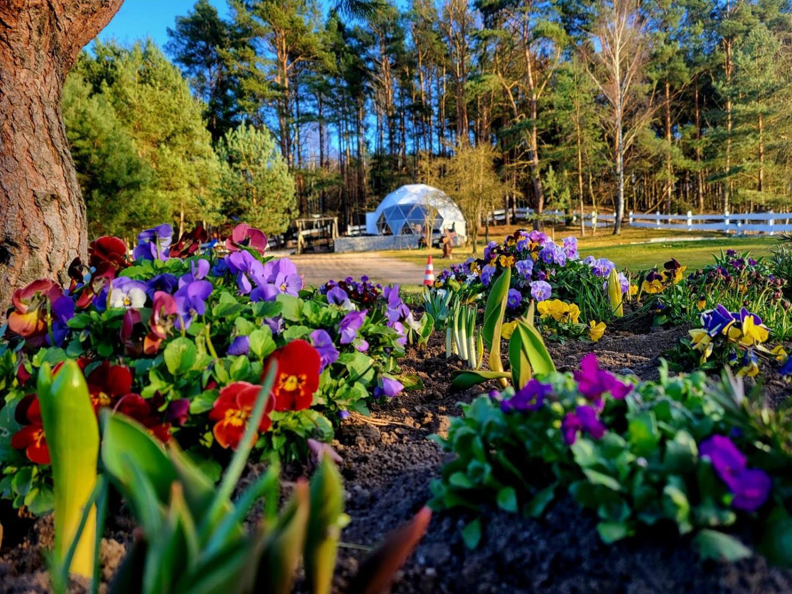 Glamping Pod Orlem Hotel Cedynia Exterior foto