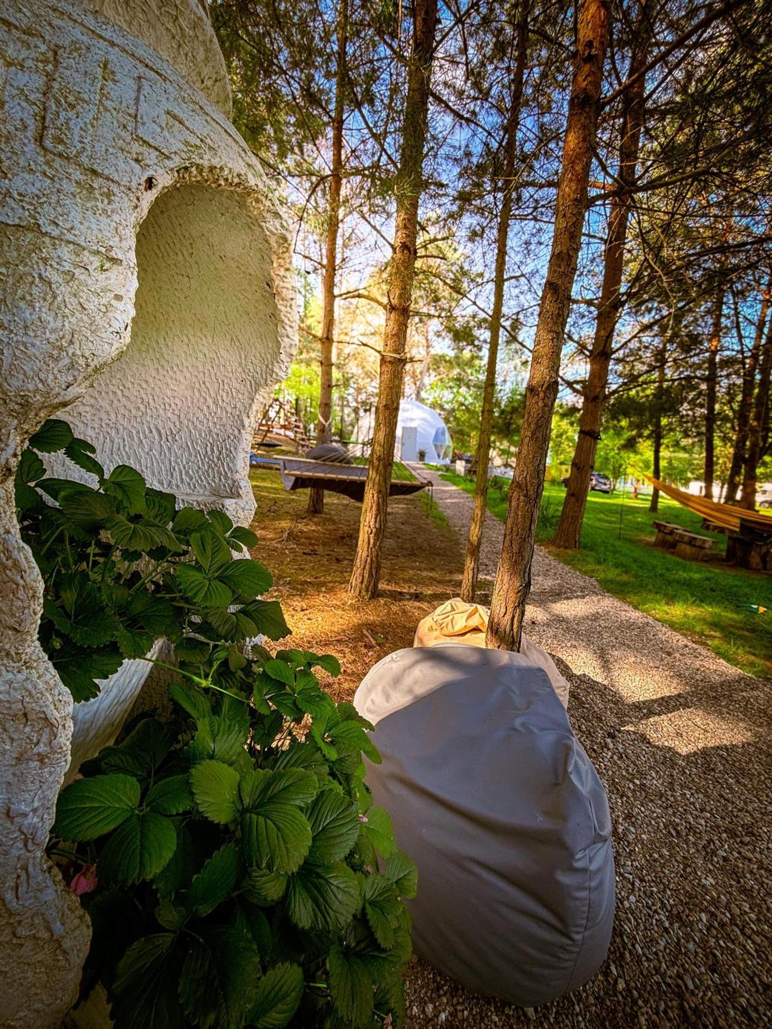 Glamping Pod Orlem Hotel Cedynia Exterior foto