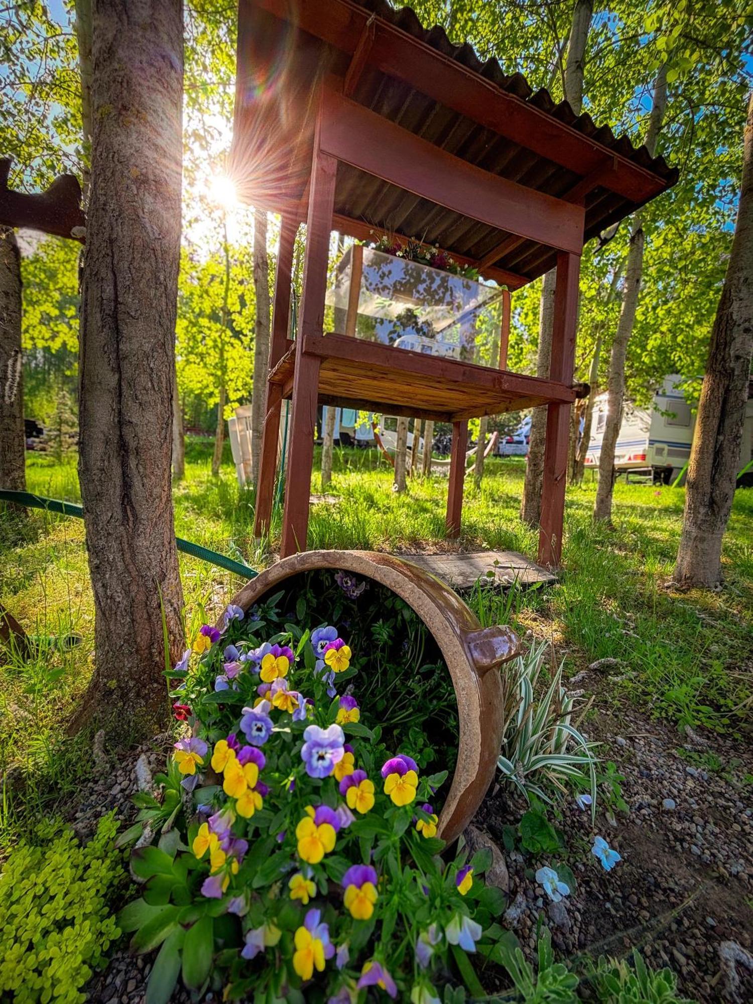 Glamping Pod Orlem Hotel Cedynia Exterior foto